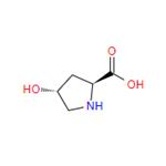 L-Hydroxyproline