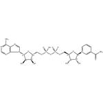 Thionicotinamide adenine dinucleotide