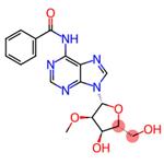 N6-Benzoyl-2'-O-Methyl-adenosine