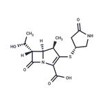 tacapenem pictures