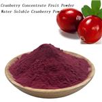 Cranberry Concentrate Fruit Powder Cranberry Extract Water Soluble Raw Material