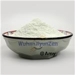 7491-74-9 Piracetam 