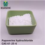 Papaverine hydrochloride