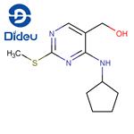 (4-(cyclopentylaMino)-2-(Methylthio)pyriMidin-5-yl)Methanol