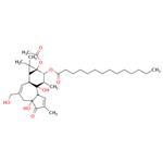 Phorbol-12-myristate-13-acetate