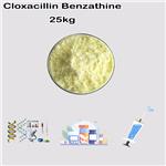 Cloxacillin benzathine Vet pharma use