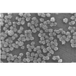 Curpous oxide