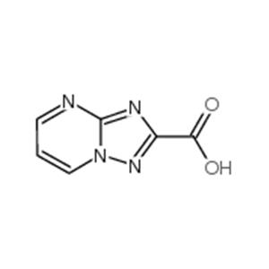 [1,2,4]Triazolo[1,5-a]pyrimidine-2-carboxylic acid