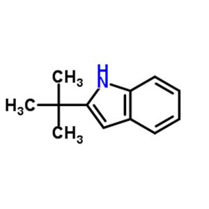 2-(tert-butyl)indole