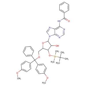 5'-DMT-3'-TBDMS-Bz-rA