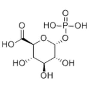 α-D-Glucuronic acid-1-phosphate