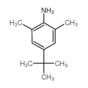 4-tert-Butyl-2,6-dimethylaniline