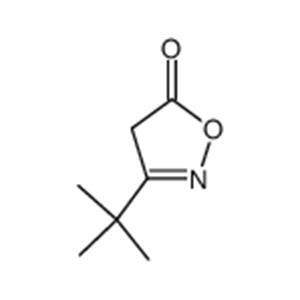 3-(1,1-DIMETHYLETHYL)-5(4H)-ISOXAZOLONE