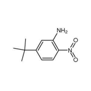 5-tert-Butyl-2-nitro-phenylamine