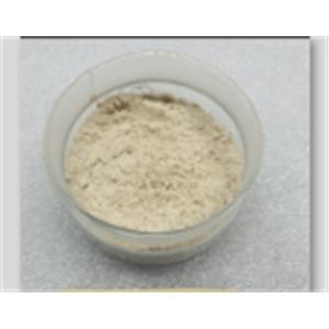 6-bromonaphthalen-2-amine