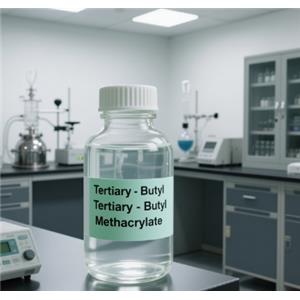 Tertiary-Butyl Methacrylate