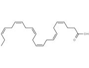  Docosahexaenoic Acid