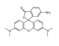 6-Aminotetramethylrhodamine