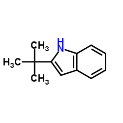 2-(tert-butyl)indole