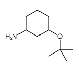 3-TERT-BUTOXYCYCLOHEXANAMINE
