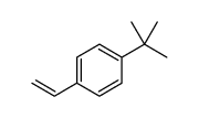 Poly(4-tert-butylstyrene)