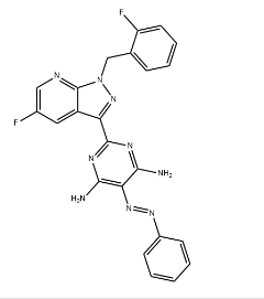 Vilixigua intermediate