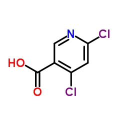 4,6-Dichloronicotinic acid