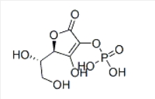 L-Ascorbate-2-Phosphate