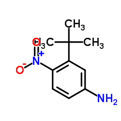 3-tert-Butyl-4-nitroaniline