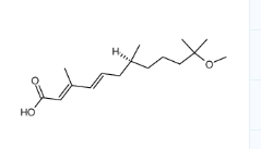 (2E,4E)-11-methoxy-3,7,11-trimethyl-dodeca-2,4-dienoic acid