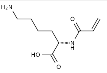 acryloyl-L-lysine