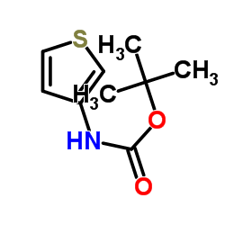 tert-Butyl 3-thienylcarbamate