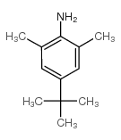 4-tert-Butyl-2,6-dimethylaniline