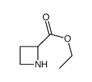 ethyl azetidine-2-carboxylate