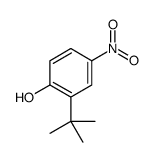 2-(TERT-BUTYL)-4-NITROPHENOL