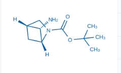(1R,4R,5S)-tert-Butyl 5-amino-2-azabicyclo[2.1.1]hexane-2-carboxylate