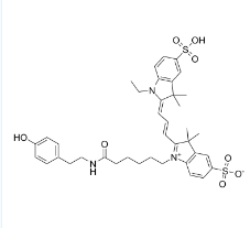 Cyanine 3 Tyramide