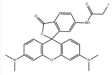 6-IodoacetaMidotetraMethyl