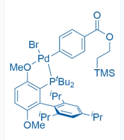tBuBrettPhos Pd G6 TES
