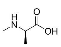 N-Methyl-D-alanine