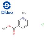 Pyridinium, 3-(methoxycarbonyl)-1-methyl-, chloride (1:1)