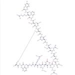 Atrial Natriuretic Peptide (7-28), human, canine pictures