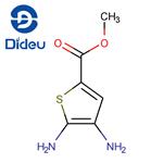 Methyl 4,5-diamino-2-thiophenecarboxylate
