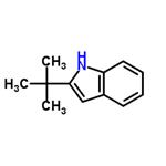 2-(tert-butyl)indole