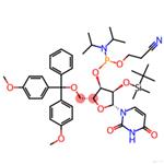 DMT-2′O-TBDMS-rU Phosphoramidite