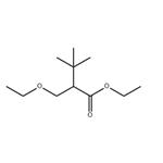 Ethyl 3-Ethoxy-2-Tert-Butylpropionate