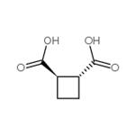 trans-1,2-cyclobutanedicarboxylic acid