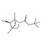 (1S,4S,5R)-rel-5-Amino-2-Boc-2-azabicyclo[2.1.1]hexane