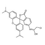 6-Chloroacetamidotetramethyl Rhodamine