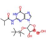 2'-O-(tert-Butyldimethylsilyl)-N-isobutyrylguanosine